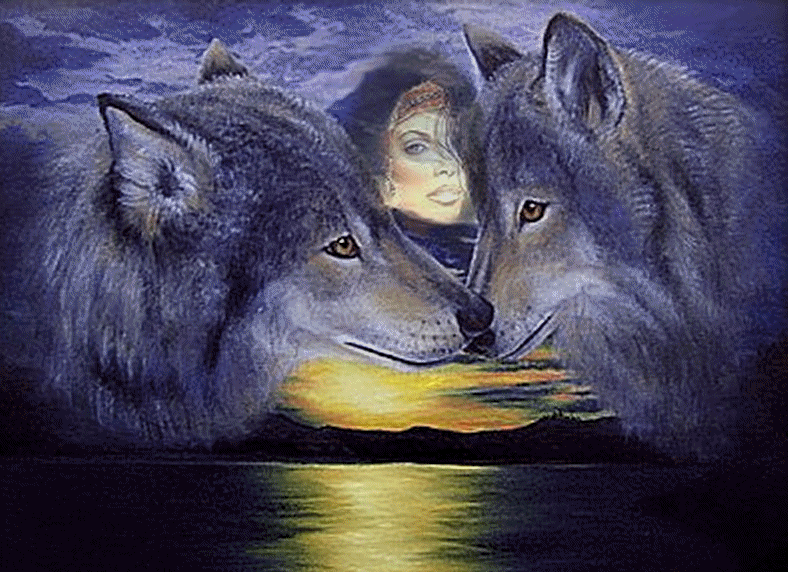 Loups ~ Lobos ~ Wolves