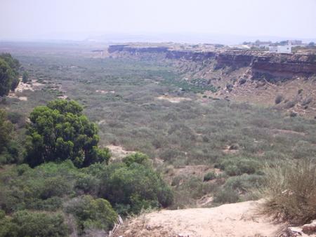 La Voie des Loups & meteo Nador & Info Maghreb live