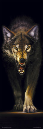 The Verry Bad Wolf !