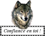 Conseils Utiles Du Lobo