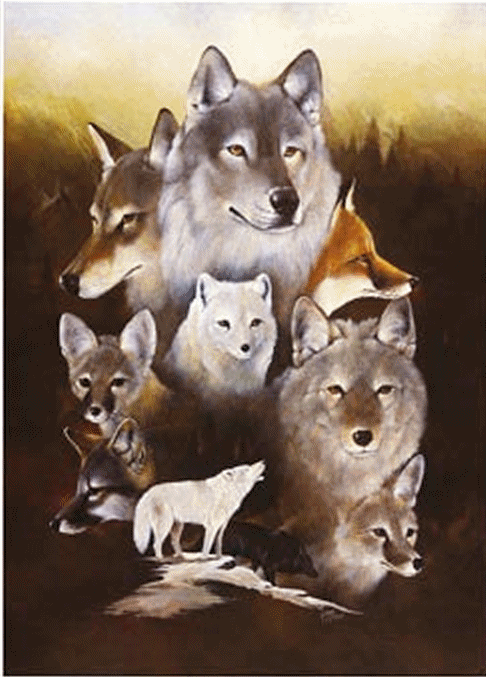 Wolves Family