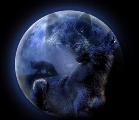 Moon Wolves