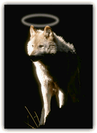 F�te & Saint du Jour