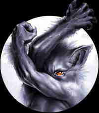 Montage by lobo , music by G. Manset