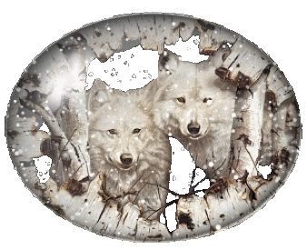 Two White Wolves
