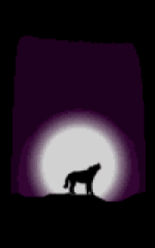 Le loup et La Lune