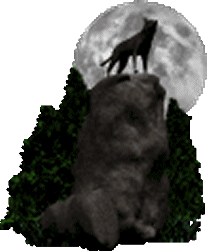 Le loup et La Lune