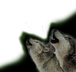 Autohits , More visits for your Web !