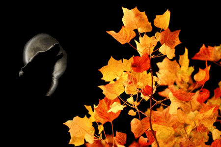 Have A Nice Weekend !