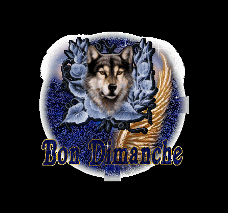 Have A Nice Sunday !