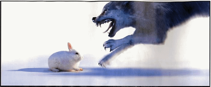 The Wolf & The Rabbit