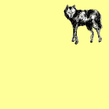 Laisse Une Trace De Ton passage Sur Le Mur Du Lobo