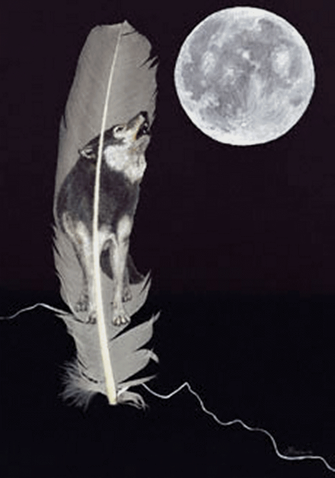 New  Google Tools For You !